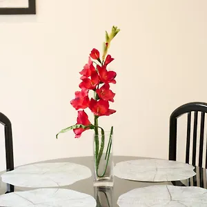  Appartement Aligrama
